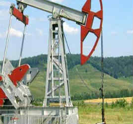 Сербия проверяет приватизацию нефтяной компании Газпромнефтью