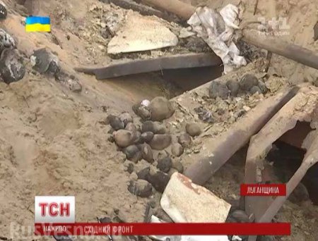 Сводка: в Станице-Луганской уничтожен блиндаж ВСУ, кроме потерь оккупанты л ...
