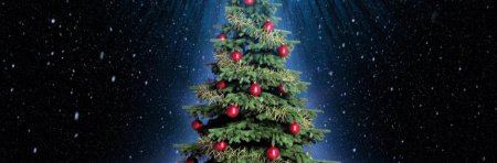 В «ДНР» намерены провести торжественное открытие новогодней елки 25 декабря