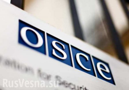 Миссия ОБСЕ зафиксировала за выходные 594 взрыва в районе аэропорта Донецка и 180 возле Широкино