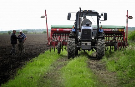 МВФ требует от Украины уничтожить собственное сельхозпроизводство