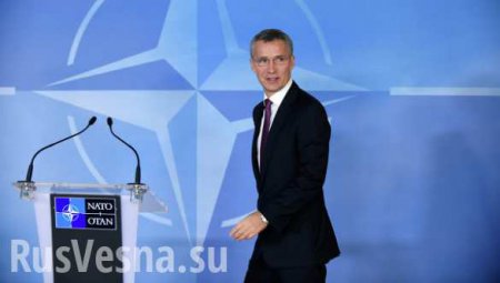 НАТО до конца года решит, приглашать ли в альянс Черногорию