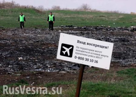 Росавиация: 298 пассажиров Boeing MH17 стали жертвами алчности Киева