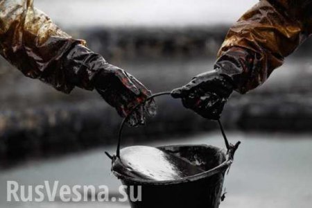 Минэнерго США: Россия занимает первое место в мире по добыче нефти