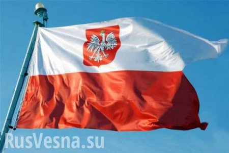 Польские депутаты тоже хотят приехать в Крым
