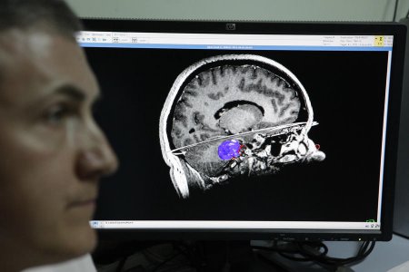 Сибирские учёные создали искусственный самообучаемый мозг