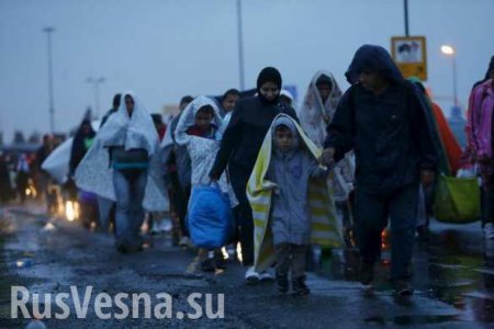 Тысячи мигрантов прибыли к австрийско-венгерской границе (ФОТОЛЕНТА)