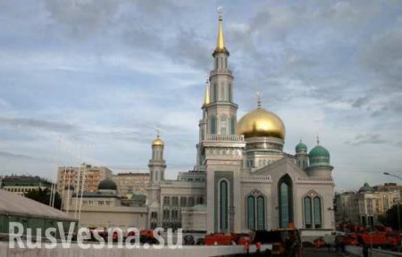 Почему Россия не Франция: наши мусульмане — наши