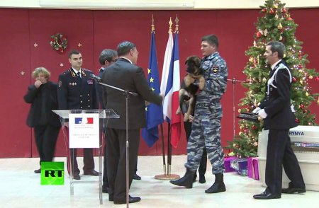 Полицейские России передали щенка Добрыню коллегам из Франции