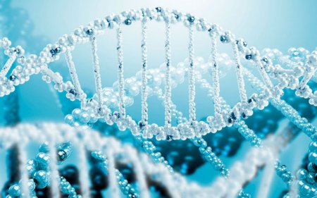 Влияние сознания на ДНК
