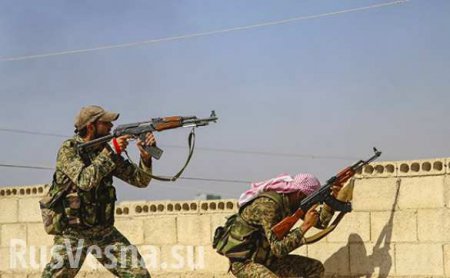«Тимур»: ожесточенные бои между ИГИЛ и «Нусрой», в Латакии, Алеппо и Хаме САА освободила от боевиков 8 селений