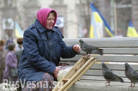 Украина стала оазисом бедности, — бывший вице-премьер