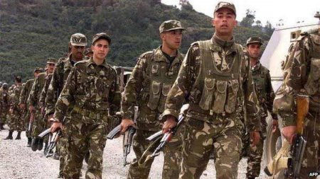 Алжир поднял уровень тревоги в вооруженных силах до военного положения