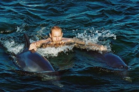 «Уберите дельфинов от безумного Путина»: западные СМИ переплюнули в кретини ...