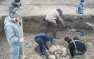 Строители крымского моста нашли клад и мумию с монетой в зубах (ВИДЕО)