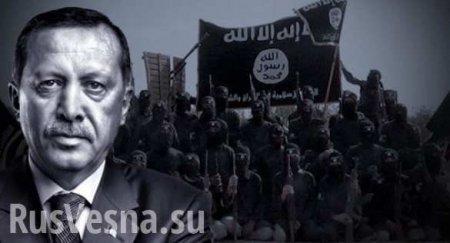 ВАЖНО: В США подтвердили причастность Турции к отправке боевиков ИГИЛ в Сирию (ДОКУМЕНТ)
