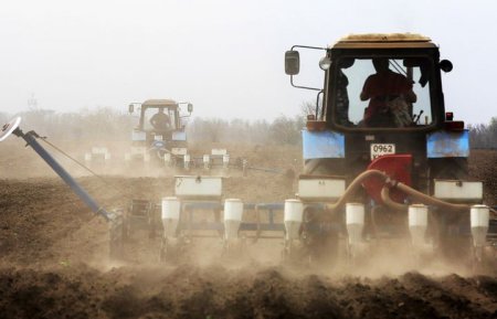 Фермеры скупают отечественное: производство сельхозтехники в России увеличилось в два раза