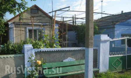 В Николаевской области во двор частного дома бросили гранату (ФОТО)