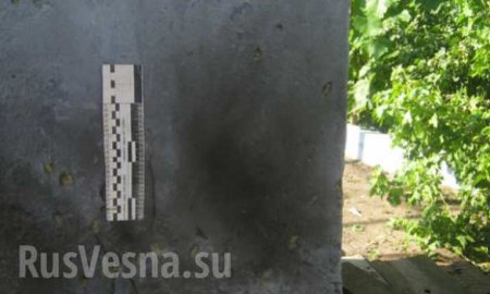 В Николаевской области во двор частного дома бросили гранату (ФОТО)