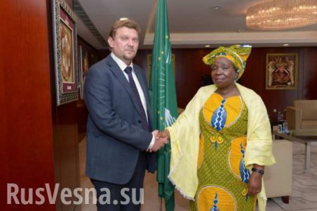 Украина получила статус наблюдателя в Африканском Союзе
