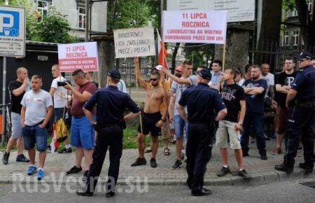 «Бандеровцы и их сторонники — вон из Польши», — в Перемышле разгоняли украинскую демонстрацию (+ВИДЕО, ФОТО)