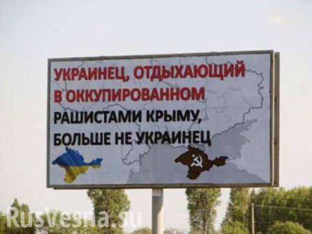 Украинцы бегут, чтобы занять очередь в российский Крым (ВИДЕО)