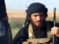 Минобороны: главаря ИГ Аднани уничтожил российский бомбардировщик