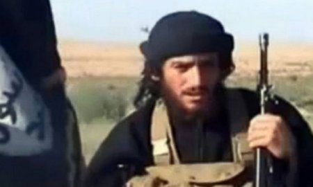 Минобороны: главаря ИГ Аднани уничтожил российский бомбардировщик