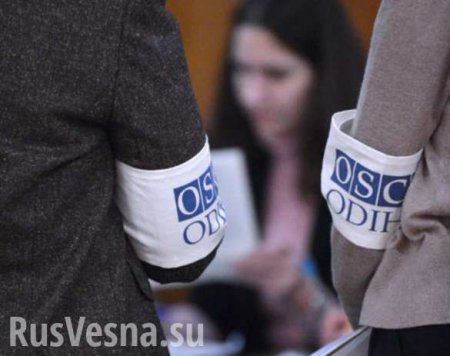 О Крыме не будет ни слова: как ОБСЕ будет наблюдать за выборами в Госдуму