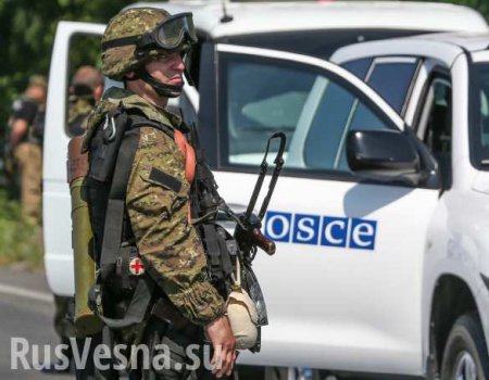 ОБСЕ обратилась к украинской стороне с просьбой «принять меры» после начала обстрела района Петровского