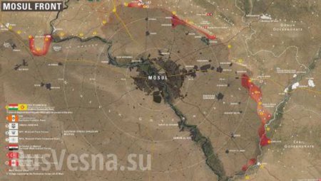 Огромные колонны техники движутся к столице ИГИЛ: курды, турецкие войска и армия Ирака готовятся к штурму (ФОТО)