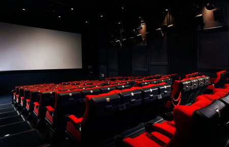 Порошенко ветировал закон о поддержке кинематографии