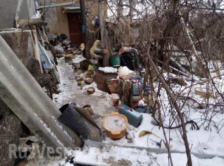 Живодёрня в Николаеве: мужчина 15 лет похищал и ел домашних собак (ФОТО 18+)