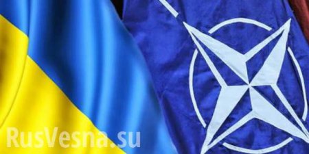 В НАТО назвали условие для вступления Украины в альянс