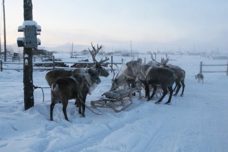 Польский турист удивился от 55-градусного мороза в Якутии