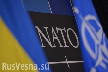 Главком НАТО в Европе хочет дать Украине летальное вооружение
