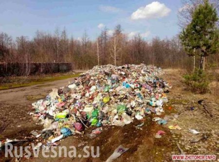 Львовские школы могут закрыть из-за «мусорного апокалипсиса»