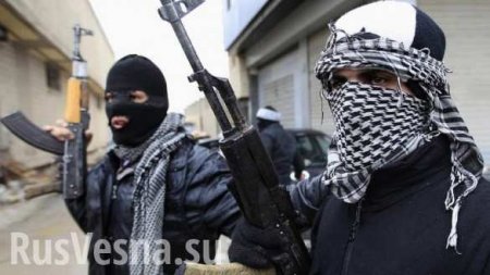 ВАЖНО: ТВ «Джихад» против «Батальона имама Шамиля» — теракт в Петербурге приписали несуществующей банде (ФОТО)
