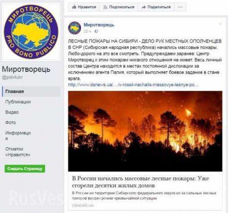 «Миротворец» позлорадствовал на тему лесных пожаров в Сибири