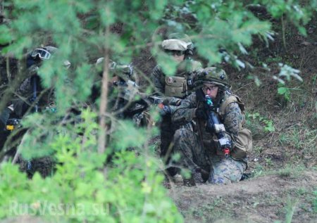 ВСУ стягивают силы у Станицы Луганской, в районе Попасной появились американские наёмники