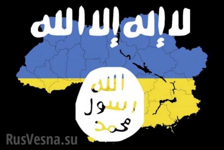 Кто научил украинцев тактике ИГИЛ? — мнение