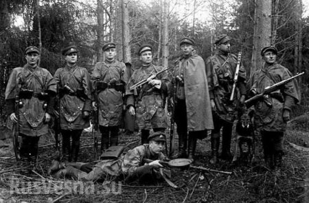 «Лесные братья», прославляемые НАТО, убили в Прибалтике 80% евреев, — эксперт