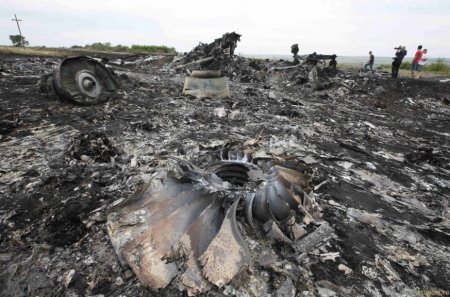 Немецкий адвокат заявил о виновности Украины в катастрофе с MH17 на Донбассе
