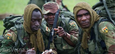 Разведчики из Зимбабве потерялись в сибирской тайге