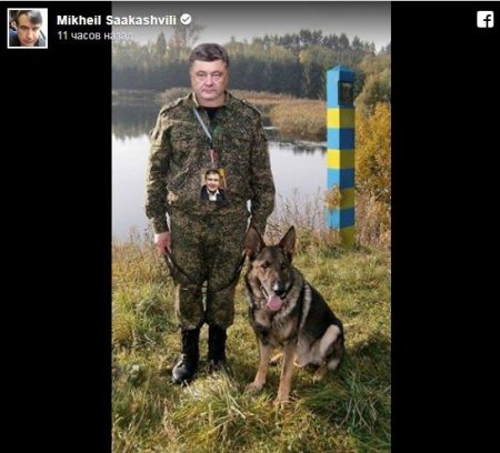 Хроники маразма: На границе с Польшей ищут Саакашвили
