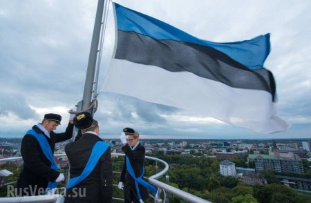 Всё стало ясно: Эстонию удалось охарактеризовать одним словом | Русская весна