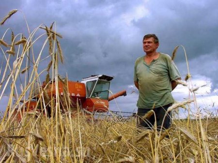 Российским фермерам возместят 50% затрат на продвижение продукции | Русская весна
