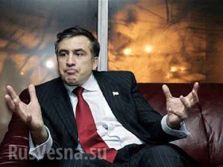 Кружным путем: Саакашвили рассказал, как пойдет на Киев | Русская весна