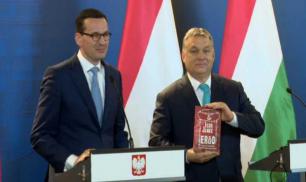 Внешнеполитические ориентиры Польши и Венгрии совпадают не во всём