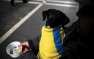 1,2 миллиона украинцев недоедают: «незалежная» вошла в список беднейших стр ...